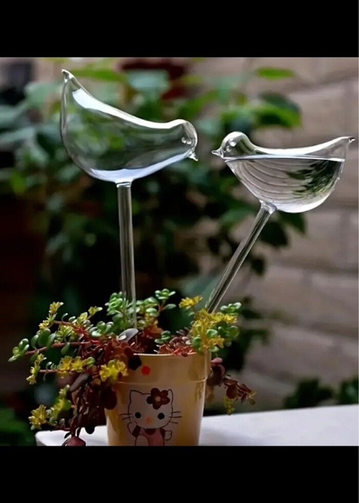 Sulama aparatı 2 adet - Görsel 4