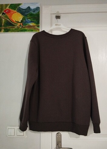 xl Beden kahverengi Renk Sweatshirt