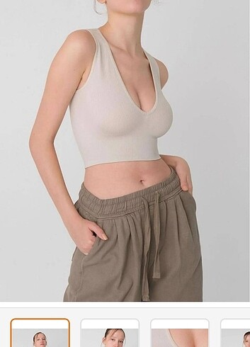 Addax addax seamless crop