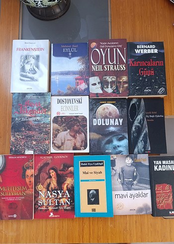 Çeşitli Yazarların Edebiyat Kitap Seti