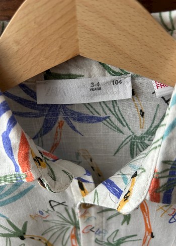 Çok Renkli Kısa Kollu Erkek Gömlek - Görsel 2