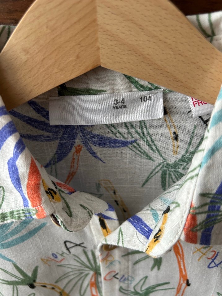 Çok Renkli Kısa Kollu Erkek Gömlek - Görsel 2