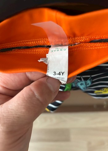 Renkli Zebra Desenli Erkek Çocuk Deniz Şortu - Görsel 2