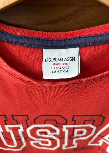 Erkek Renkli Baskılı Kısa Kollu Tişört - Görsel 2