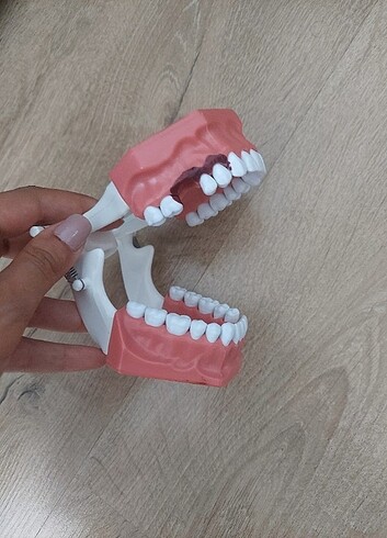 Plastik çene