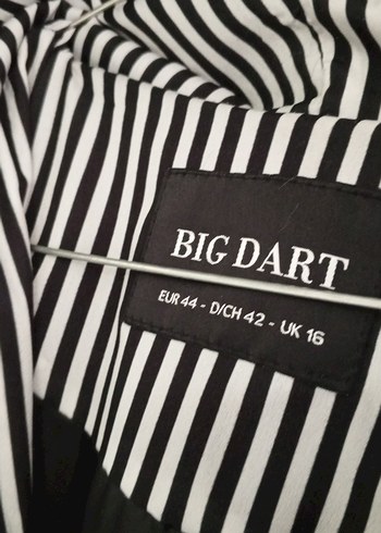 Uzun Siyah Kadın Trençkot Çizgili Detaylı sayılı kullanıldı - Görsel 4