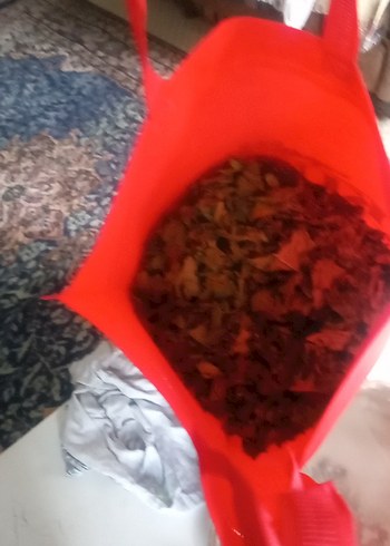 bitki çiçekleri