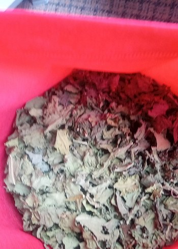 bitki çiçekleri