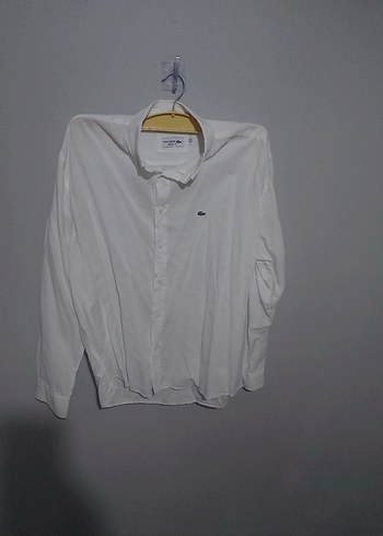 Lacoste xxl
