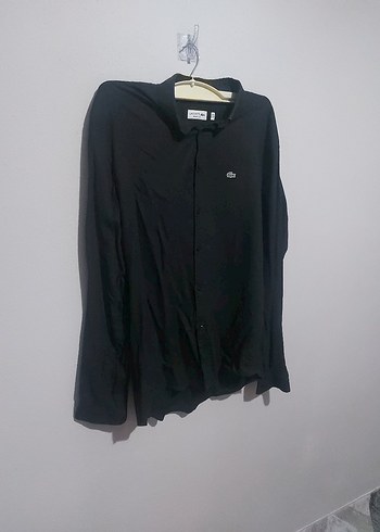 Lacoste xxl