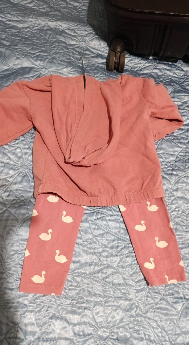 Pembe Uzun Kollu Bebek Kız Takımı - Görsel 2