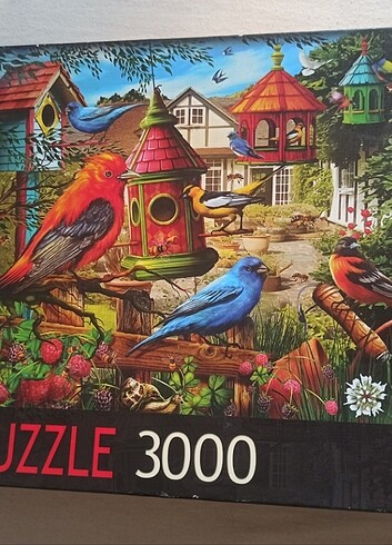 puzzle 3000
