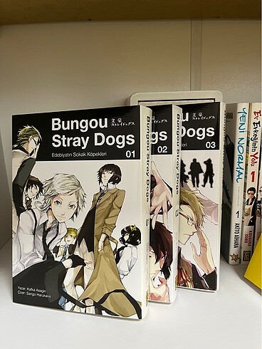 Bungou Stray Dogs Manga