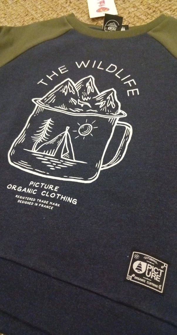 Picture Organic Cotton Erkek Çocuk Oversize Sweatshirt - Görsel 2