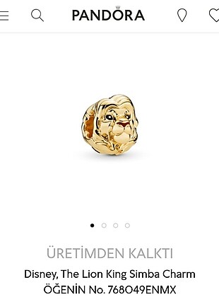 Pandora charm 