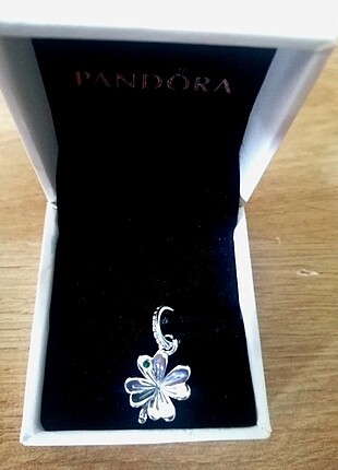 Pandora Pandora charm 