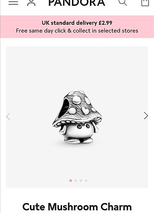 Pandora charm 