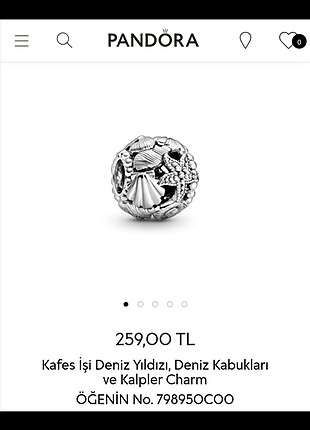 Pandora charm 