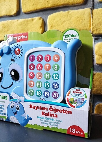 Beden Renk Sıfır kapalı kutu linkimals balina