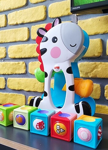 Beden Renk Fisher Price Roller Blocks Zebra