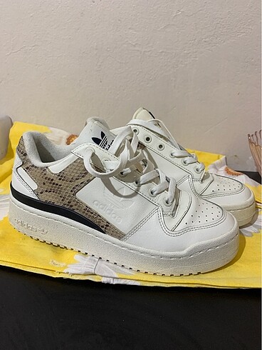 Adidas forum bold