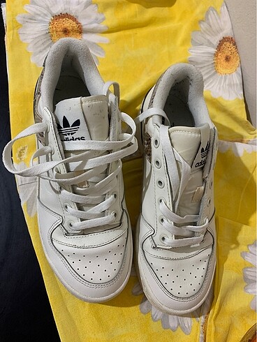 Adidas Adidas forum bold