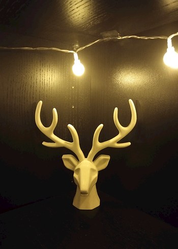 Beyaz Geyik Boynuzu Takı ve Makyaj Organizeri - Görsel 2