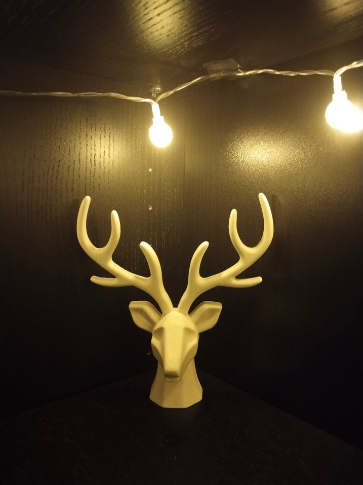 Beyaz Geyik Boynuzu Takı ve Makyaj Organizeri - Görsel 2