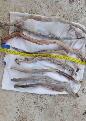 Lodos dalları 27 - Görsel 5