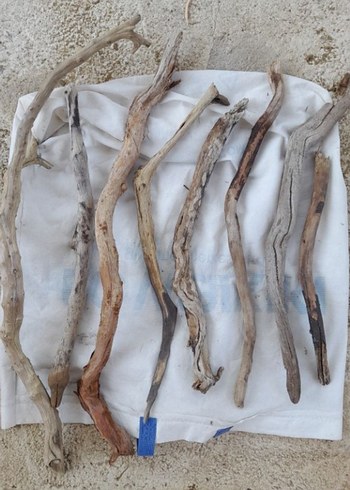 Lodos dalları 27 - Görsel 2