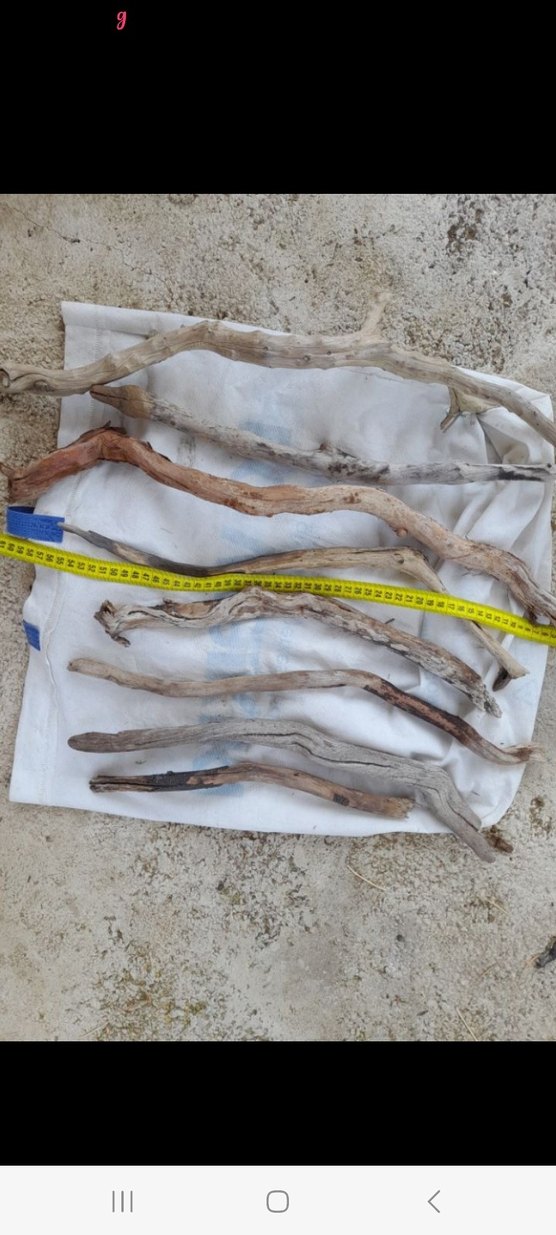 Lodos dalları 27 - Görsel 5