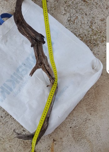 Bej Gri Ahşap lodos dalı 35 - Görsel 3