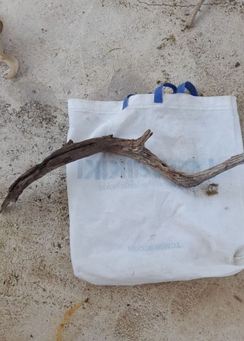 Bej Gri Ahşap lodos dalı 35 - Görsel 4