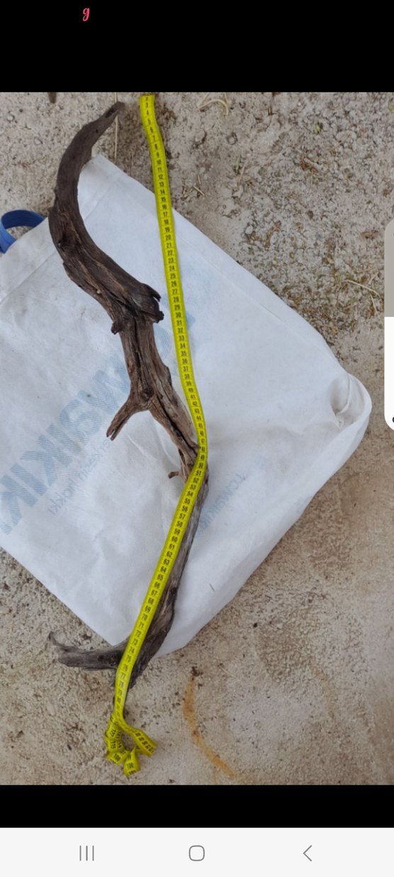 Bej Gri Ahşap lodos dalı 35 - Görsel 3