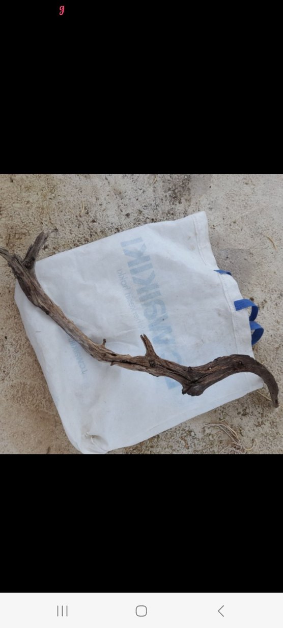 Bej Gri Ahşap lodos dalı 35 - Görsel 2