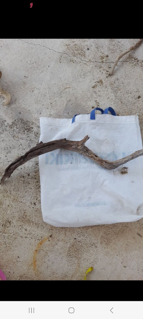 Bej Gri Ahşap lodos dalı 35 - Görsel 4