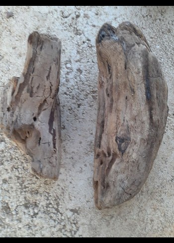 lodos parçalar - Görsel 2