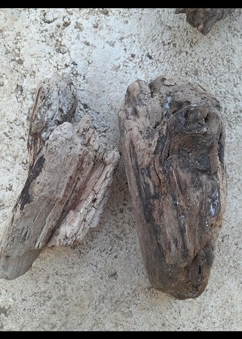 lodos parçalar - Görsel 4