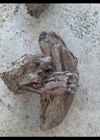 lodos parçalar - Görsel 5