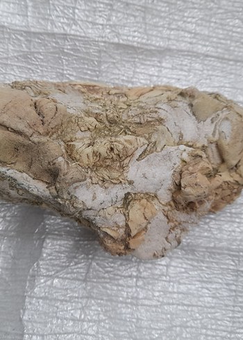 Bej Gri Doğal Taş Dekorasyon Parçası 0010 - Görsel 2