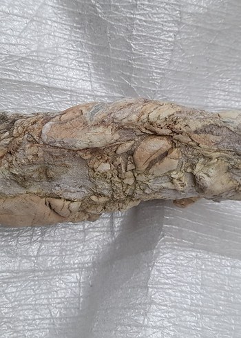 Bej Gri Doğal Taş Dekorasyon Parçası 0010 - Görsel 4