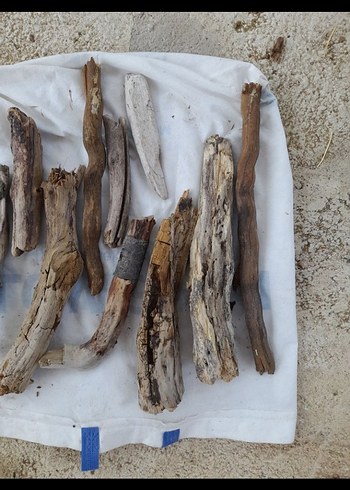 Doğal Ahşap lodos dalları 21 - Görsel 2