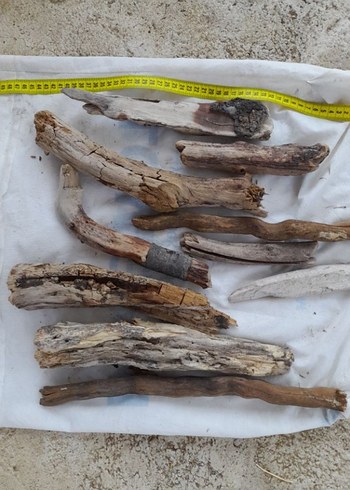 Doğal Ahşap lodos dalları 21 - Görsel 6