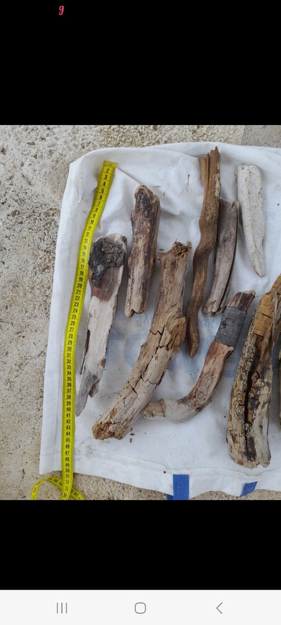 Doğal Ahşap lodos dalları 21 - Görsel 4