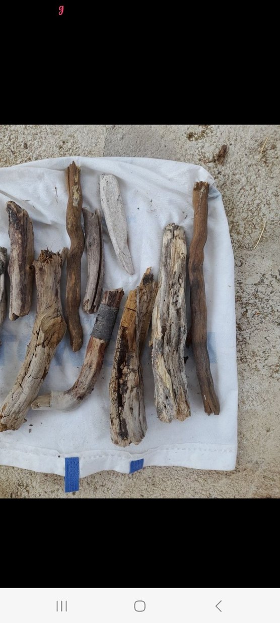 Doğal Ahşap lodos dalları 21 - Görsel 2