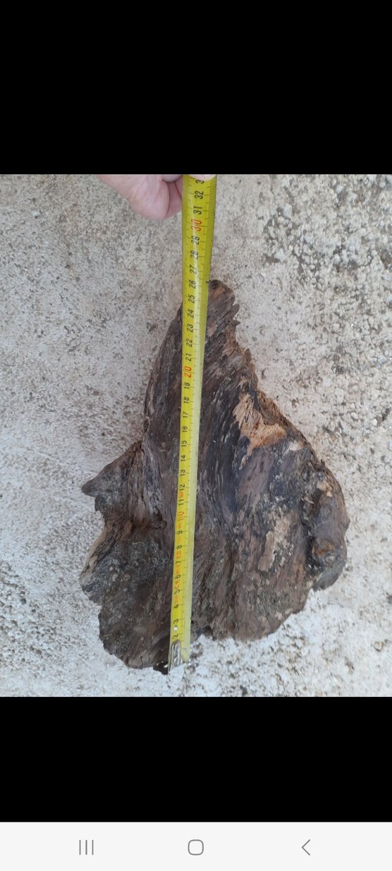 Kahverengi Akvaryum kök - Görsel 5