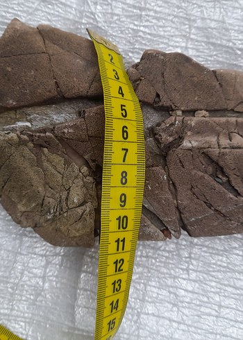 Dekoratif akvaryum taş 008 - Görsel 5