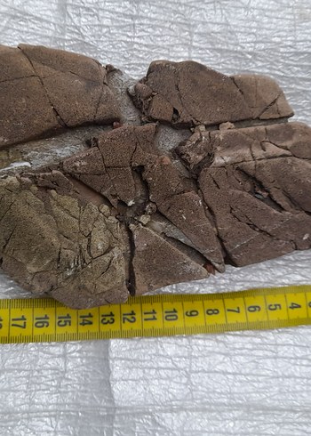 Dekoratif akvaryum taş 008 - Görsel 4