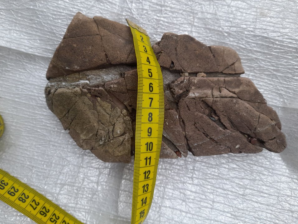 Dekoratif akvaryum taş 008 - Görsel 5