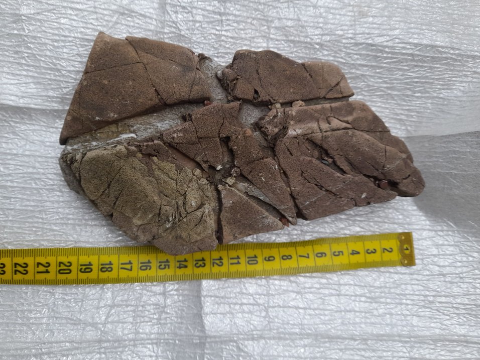 Dekoratif akvaryum taş 008 - Görsel 4